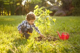Enfant plantant un arbre – Guide AXA 2024 pour réduire notre impact environnemental